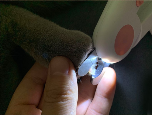 Pet Nail Scissors LED Cat Nail Clipper Trimmer BISSY'S